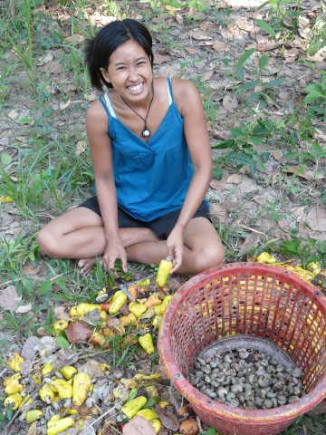 CashewCutting