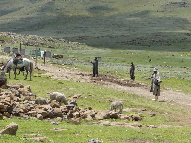 Lesotho