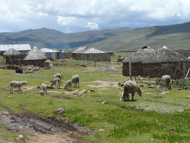 Village