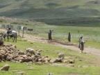 Lesotho (207 KB)