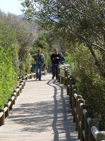 Boardwalk