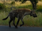 Hyena-4 (180 KB)