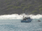 Surf1 (150 KB)