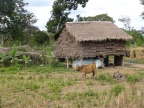 straw house (188 KB)