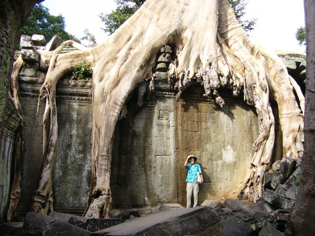 under tree