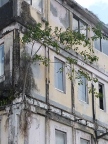 HouseTree (122 KB)