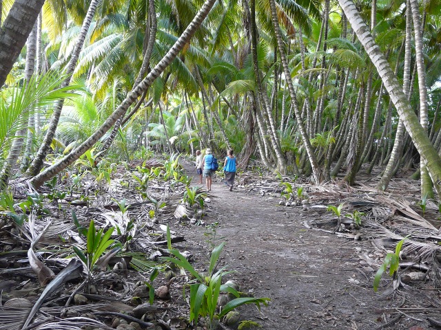 ambling
