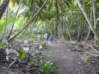 ambling.JPG (216 KB)