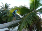 climbing.JPG (203 KB)