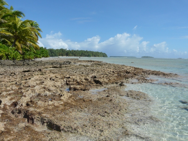 reef