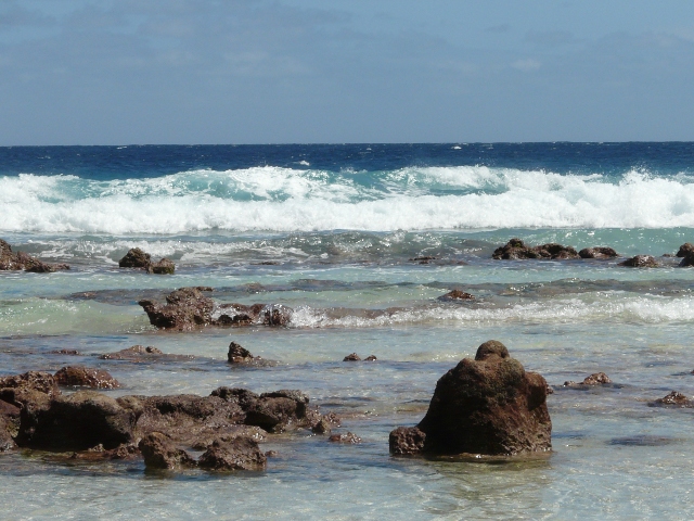 surf