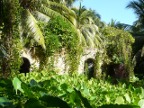 old arches.JPG (197 KB)