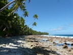 rocky shore.JPG (189 KB)