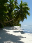 sandy beach.JPG (121 KB)