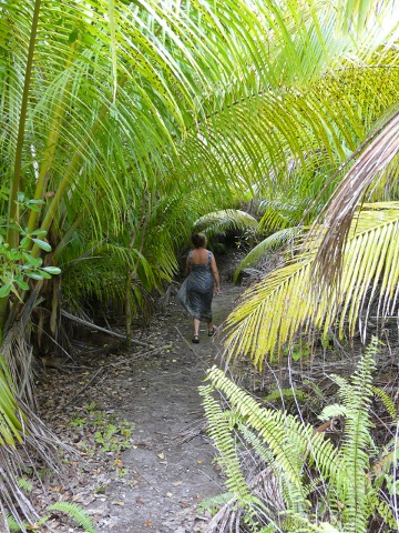 walk