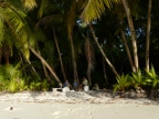 SunsetBeach.JPG (191 KB)