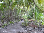 trail.JPG (227 KB)