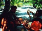 Picnic (85 KB)