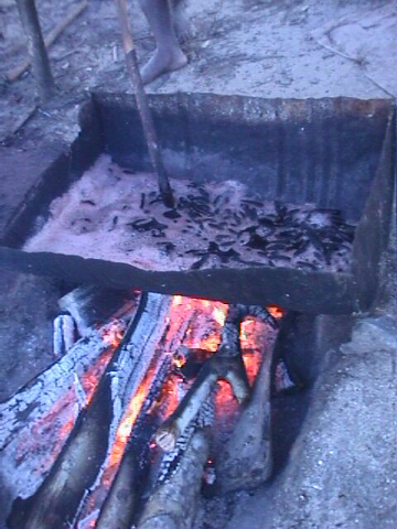 Cooking