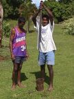 Kava Pounding (143 KB)