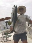 Tuna (89 KB)