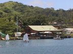 Yacht Club (122 KB)