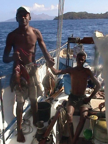 Fish