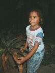 Emanuel (36 KB)