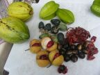 Nutmegs Opened.JPG (54 KB)