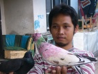 bird man.JPG (130 KB)
