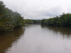 Sekonyer River.JPG (99 KB)