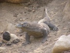 water hole.JPG (146 KB)