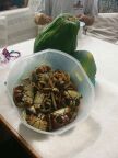 Crabs Papaya.JPG (52 KB)