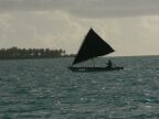 Black Sail.JPG (41 KB)
