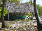 Outrigger House.JPG (107 KB)