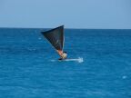 Black Sail (35 KB)