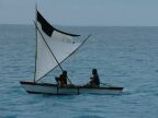 sailing (39 KB)