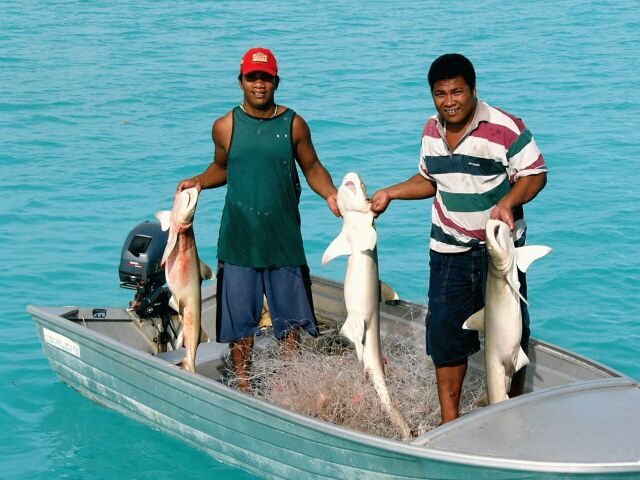 Shark fishermen