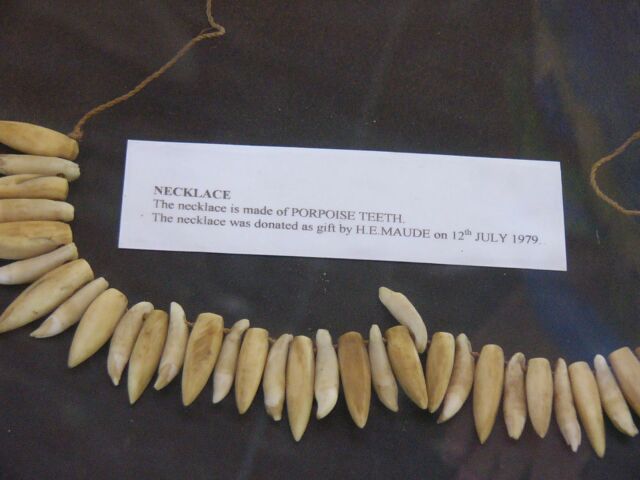 Porpoise Teeth