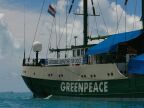Rainbow Warrior (48 KB)