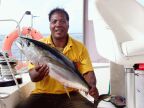 yellowfin (50 KB)