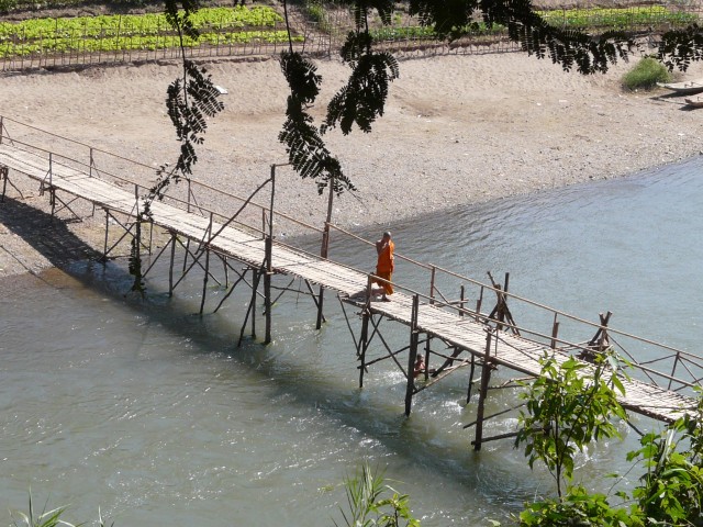 bamboo bridge