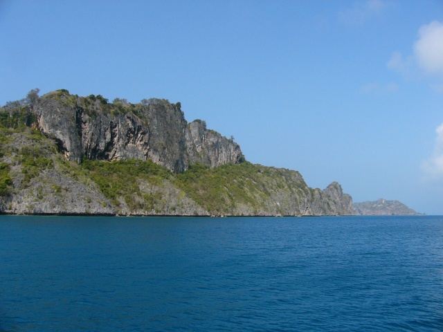 Panacia