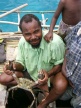 Mud Crab.JPG (83 KB)