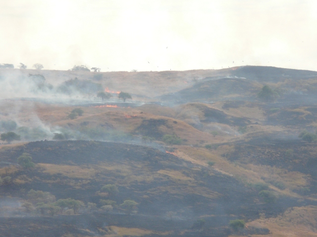 hillfire