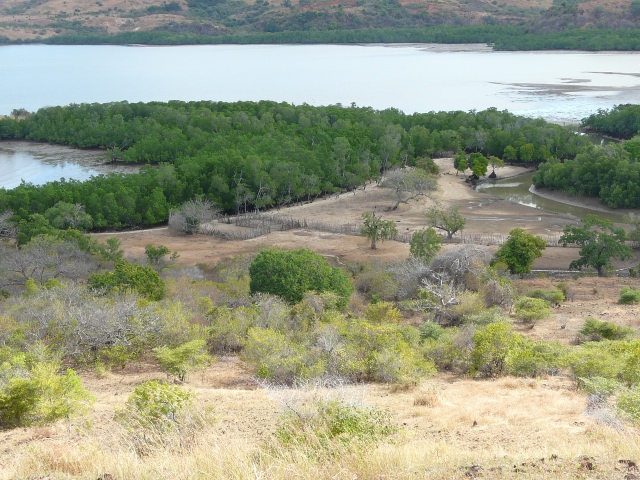 peninsula