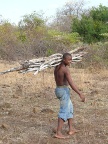 firewood (119 KB)