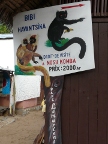 sign (118 KB)
