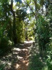 trail (107 KB)
