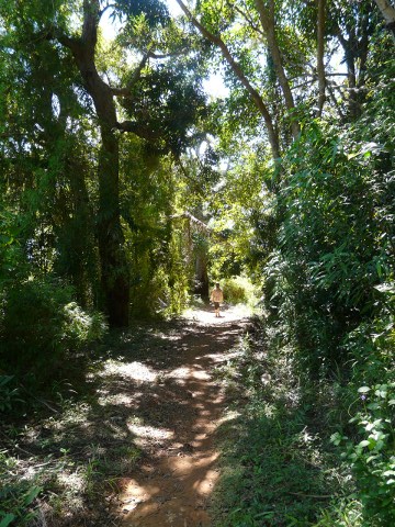 trail